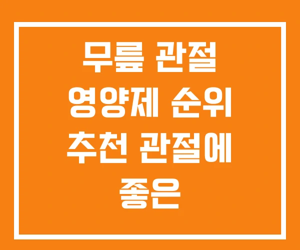 무릎 관절 영양제 순위 추천 관절에 좋은