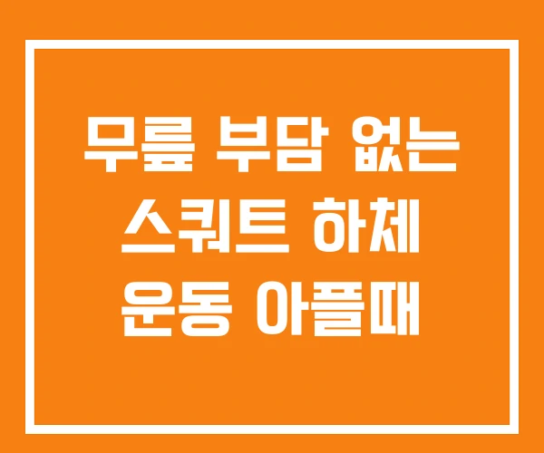 무릎 부담 없는 스쿼트 하체 운동 아플때