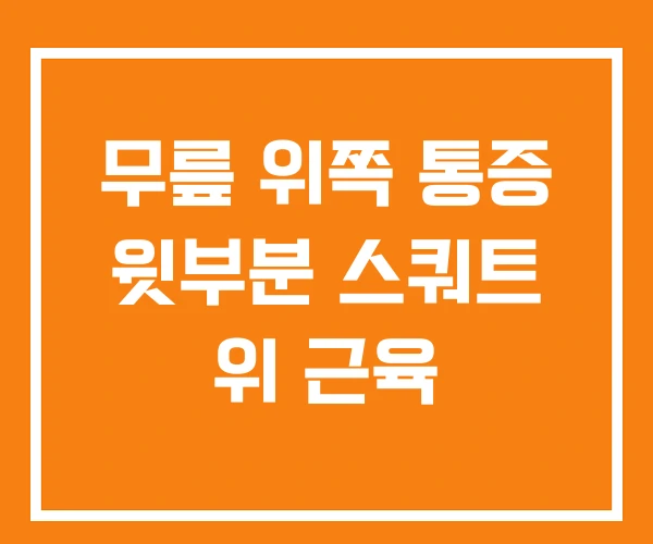 무릎 위쪽 통증 윗부분 스쿼트 위 근육