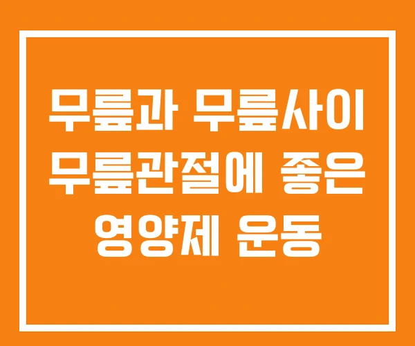 무릎과 무릎사이 무릎관절에 좋은 영양제 운동