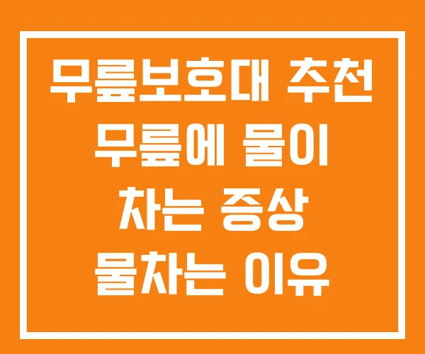무릎보호대 추천 무릎에 물이 차는 증상 물차는 이유
