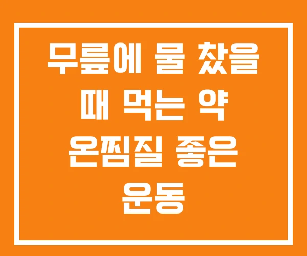무릎에 물 찼을 때 먹는 약 온찜질 좋은 운동