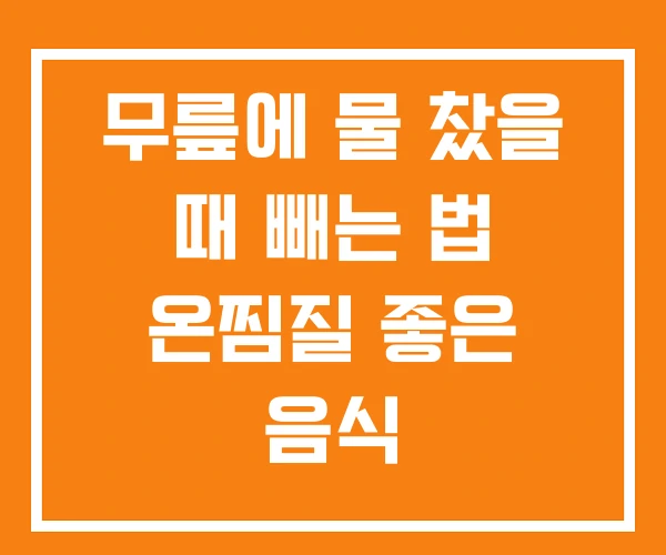 무릎에 물 찼을 때 빼는 법 온찜질 좋은 음식