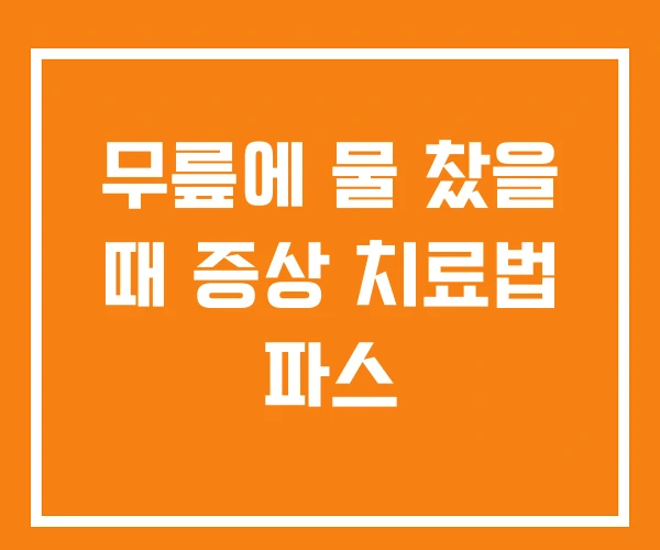 무릎에 물 찼을 때 증상 치료법 파스