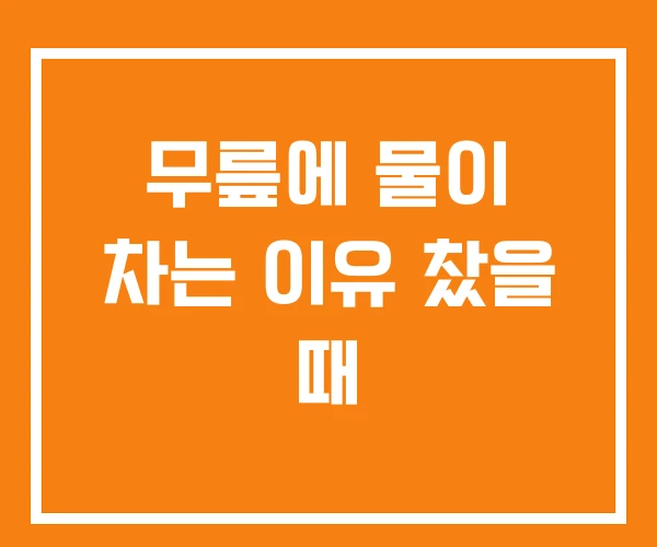 무릎에 물이 차는 이유 찼을 때