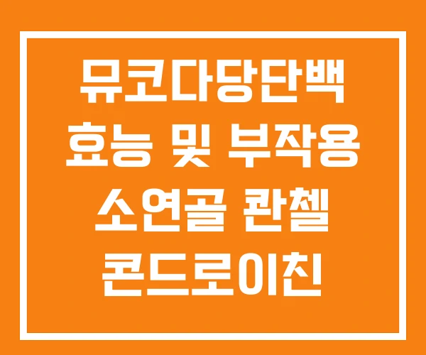 뮤코다당단백 효능 및 부작용 소연골 콴첼 콘드로이친