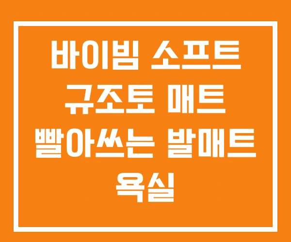 바이빔 소프트 규조토 매트 빨아쓰는 발매트 욕실
