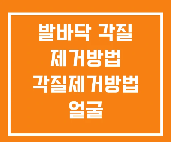 발바닥 각질 제거방법 각질제거방법 얼굴 발바닥 각질 제거방법 각질제거방법 얼굴