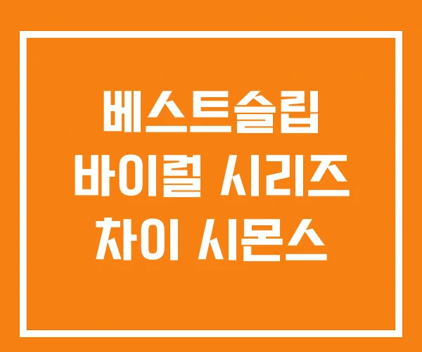 베스트슬립 바이럴 시리즈 차이 시몬스