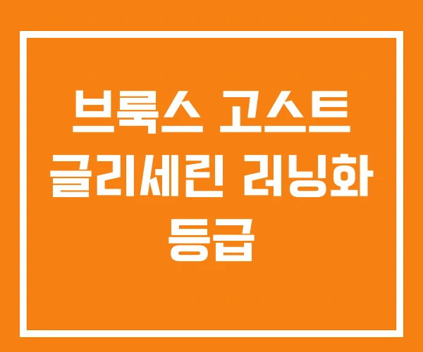 브룩스 고스트 글리세린 러닝화 등급