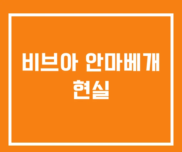 비브아 안마베개 현실