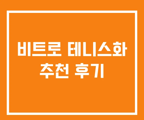비트로 테니스화 추천 후기