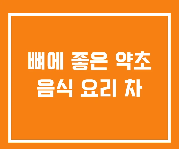 뼈에 좋은 약초 음식 요리 차