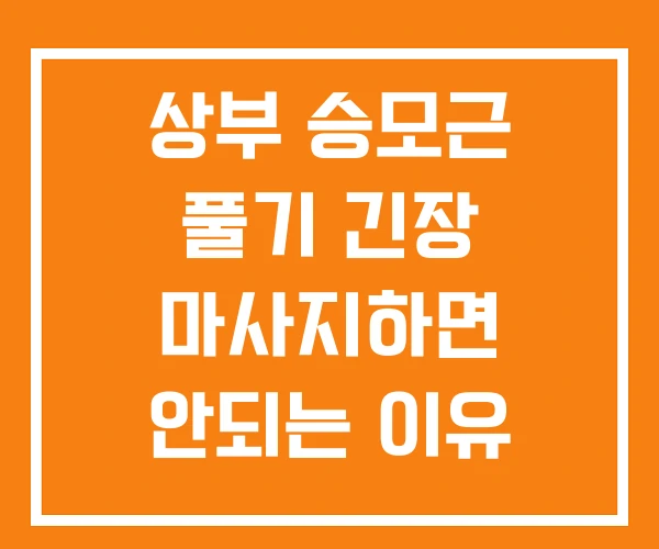 상부 승모근 풀기 긴장 마사지하면 안되는 이유 상부 승모근 풀기 긴장 마사지하면 안되는 이유