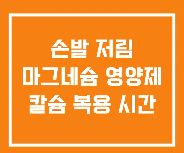 손발 저림 마그네슘 영양제 칼슘 복용 시간