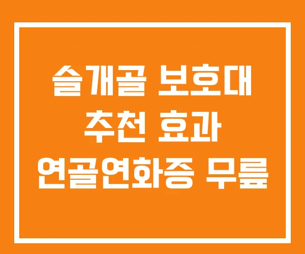 슬개골 보호대 추천 효과 연골연화증 무릎 슬개골 보호대 추천 효과 연골연화증 무릎