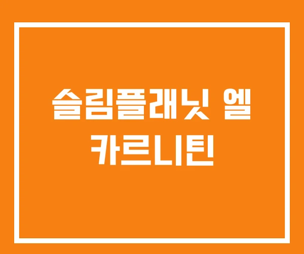 슬림플래닛 엘 카르니틴