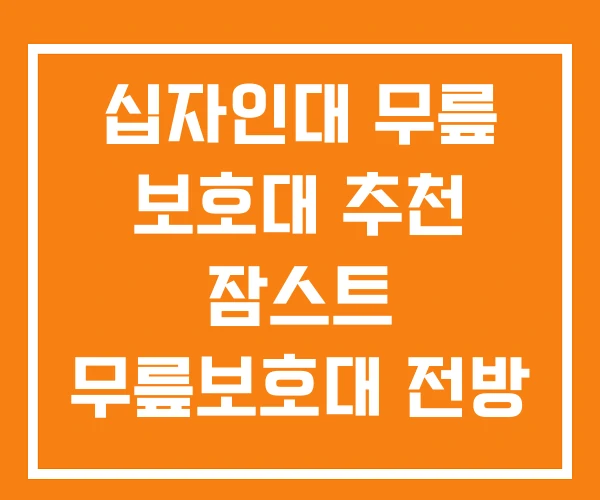 십자인대 무릎 보호대 추천 잠스트 무릎보호대 전방 십자인대 십자인대 무릎 보호대 추천 잠스트 무릎보호대 전방 십자인대