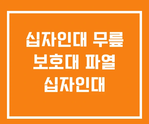 십자인대 무릎 보호대 파열 십자인대 십자인대 무릎 보호대 파열 십자인대