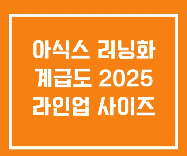 아식스 러닝화 계급도 2025 라인업 사이즈 아식스 러닝화 계급도 2025 라인업 사이즈