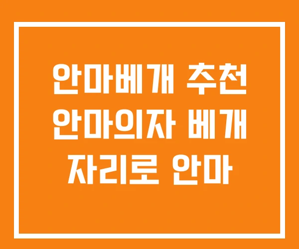 안마베개 추천 안마의자 베개 자리로 안마