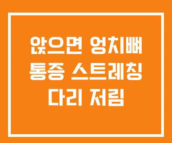 앉으면 엉치뼈 통증 스트레칭 다리 저림 앉으면 엉치뼈 통증 스트레칭 다리 저림