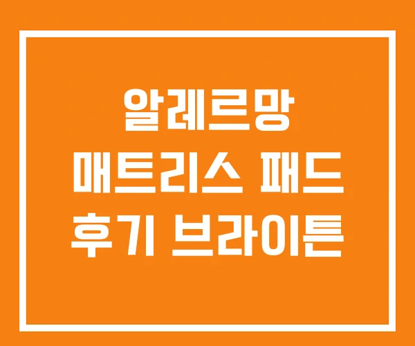 알레르망 매트리스 패드 후기 브라이튼 알레르망 매트리스 패드 후기 브라이튼