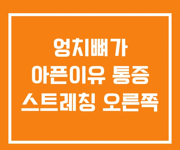 엉치뼈가 아픈이유 통증 스트레칭 오른쪽 엉치뼈가 아픈이유 통증 스트레칭 오른쪽