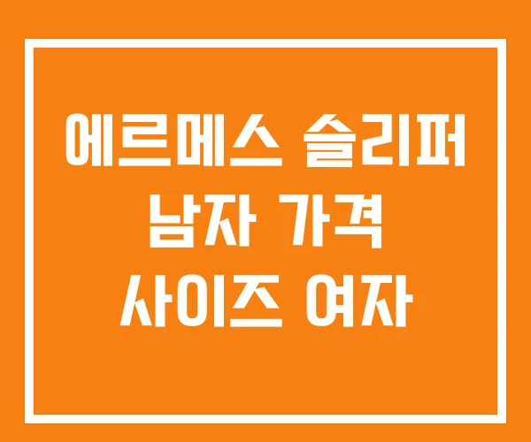 에르메스 슬리퍼 남자 가격 사이즈 여자