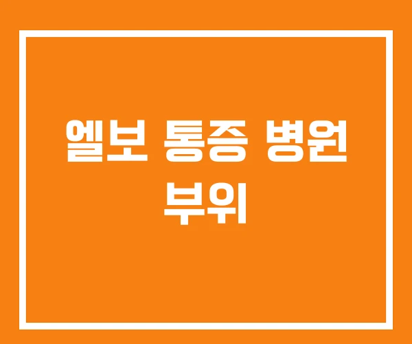 엘보 통증 병원 부위 엘보 통증 병원 부위
