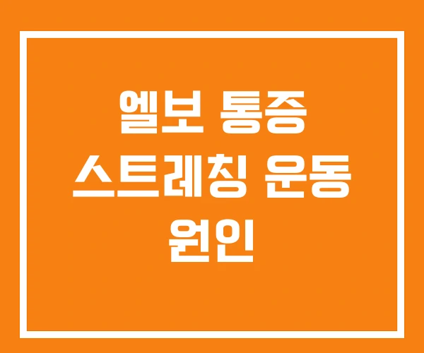 엘보 통증 스트레칭 운동 원인 엘보 통증 스트레칭 운동 원인