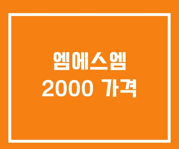 엠에스엠 2000 가격