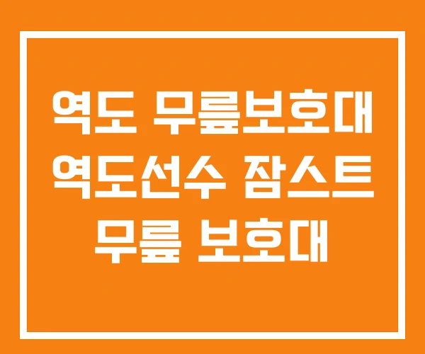 역도 무릎보호대 역도선수 잠스트 무릎 보호대