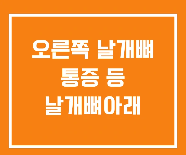 오른쪽 날개뼈 통증 등 날개뼈아래