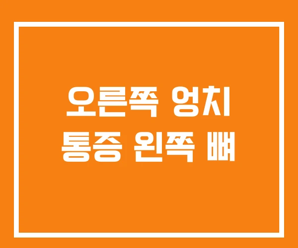 오른쪽 엉치 통증 왼쪽 뼈 오른쪽 엉치 통증 왼쪽 뼈