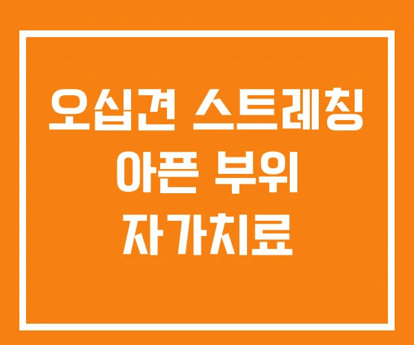 오십견 스트레칭 아픈 부위 자가치료