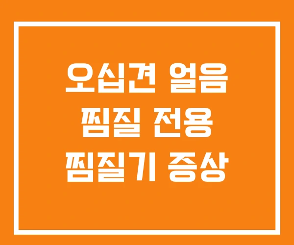 오십견 얼음 찜질 전용 찜질기 증상 오십견 얼음 찜질 전용 찜질기 증상