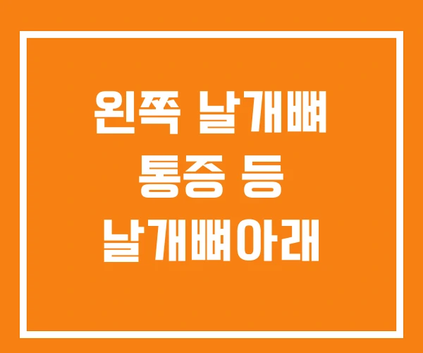 왼쪽 날개뼈 통증 등 날개뼈아래 왼쪽 날개뼈 통증 등 날개뼈아래