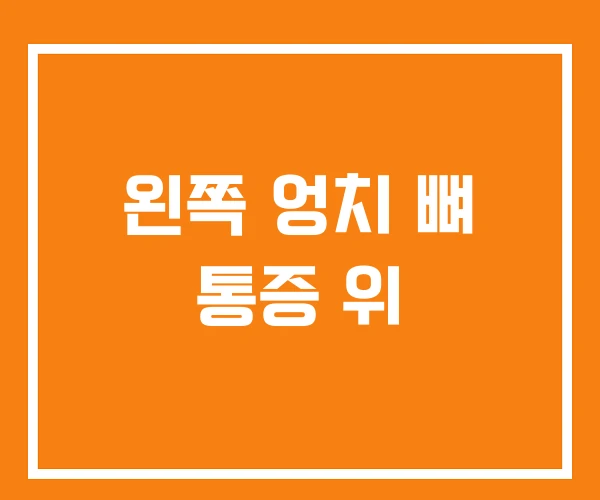 왼쪽 엉치 뼈 통증 위