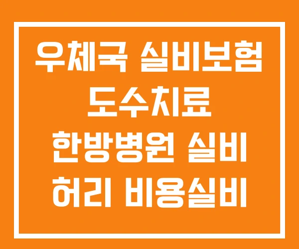 우체국 실비보험 도수치료 한방병원 실비 허리 비용실비 우체국 실비보험 도수치료 한방병원 실비 허리 비용실비