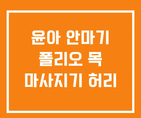 윤아 안마기 폴리오 목 마사지기 허리 윤아 안마기 폴리오 목 마사지기 허리