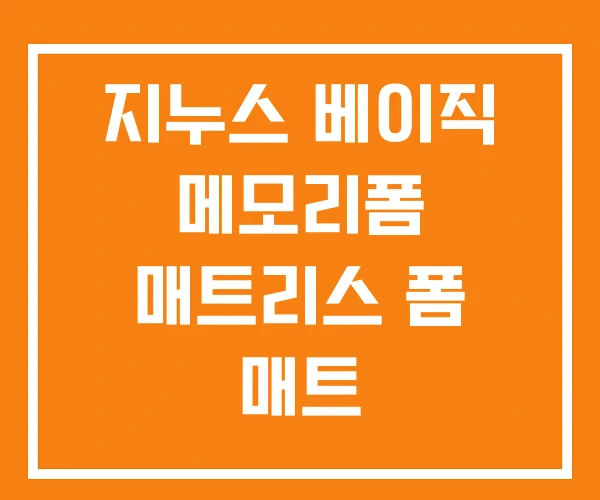지누스 베이직 메모리폼 매트리스 폼 매트