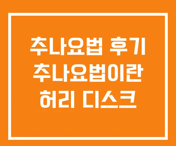 추나요법 후기 추나요법이란 허리 디스크