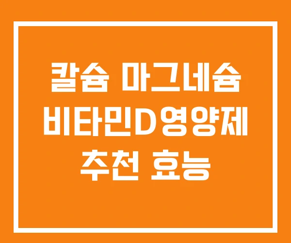 칼슘 마그네슘 비타민D영양제 추천 효능