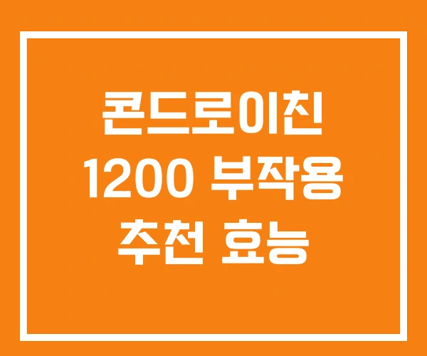 콘드로이친 1200 부작용 추천 효능