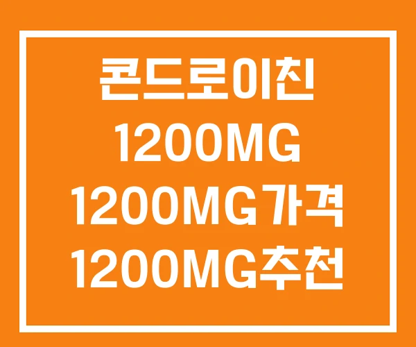 콘드로이친 1200MG 1200MG가격 1200MG추천