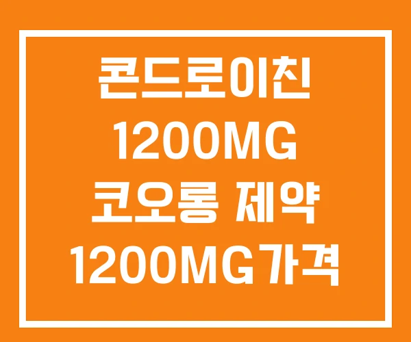콘드로이친 1200MG 코오롱 제약 1200MG가격