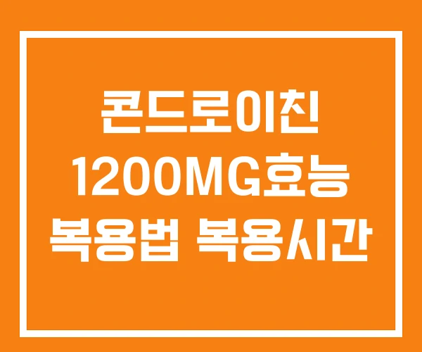 콘드로이친 1200MG효능 복용법 복용시간