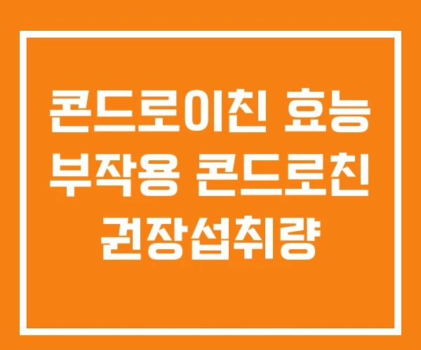 콘드로이친 효능 부작용 콘드로친 권장섭취량