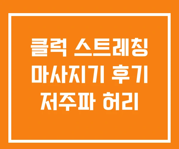 클럭 스트레칭 마사지기 후기 저주파 허리